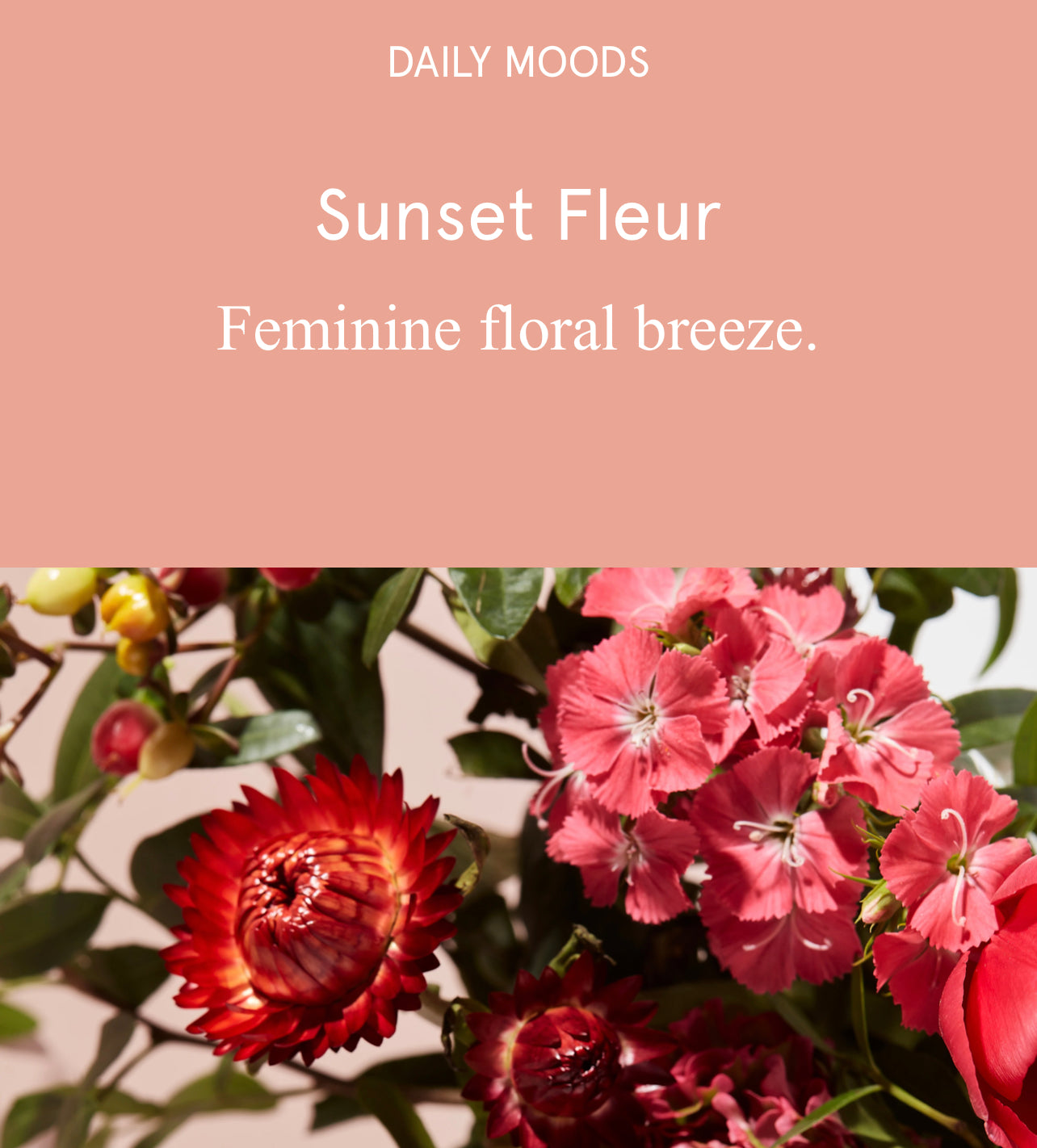 Duo Handzeep Sunset Fleur + Refill